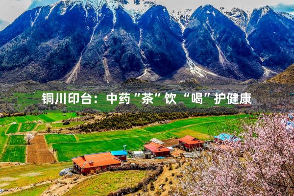 铜川印台：中药“茶”饮 “喝”护健康