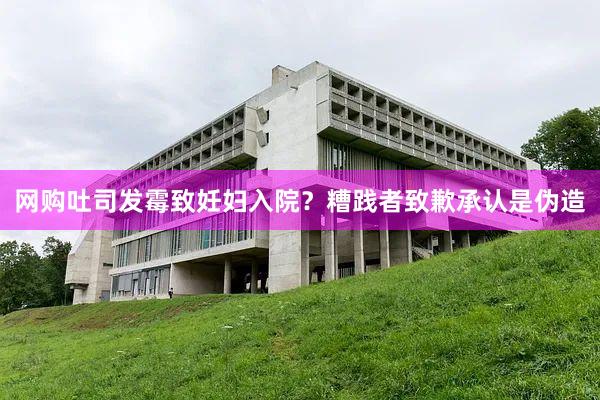 网购吐司发霉致妊妇入院？糟践者致歉承认是伪造